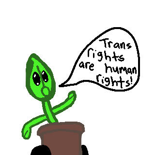 plant cabin mascot with an awestruck expression on a white background, a speech bubble says “trans rights are human rights!”